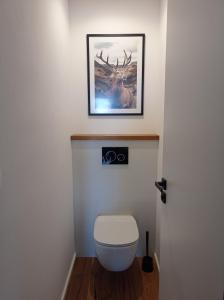 a bathroom with a toilet with a picture on the wall at Jelení apartmán Rychlebské stezky in Černá Voda