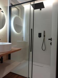 a bathroom with a shower and a sink at Jelení apartmán Rychlebské stezky in Černá Voda