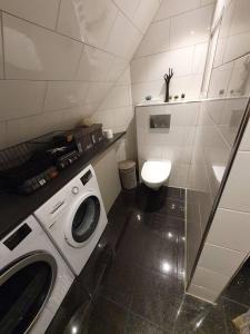 a bathroom with a washing machine and a toilet at Modern loftsleilighet in Fredrikstad