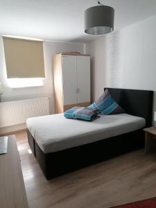 een slaapkamer met een bed in een kamer bij Monteurs-Ferienwohnung in Wolfhagen