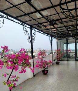 峴港的住宿－TIMES HOTEL，一组盆栽植物坐在阳台上