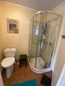 a bathroom with a shower and a toilet at Cabin 70m from lake. Big garden in Östersund