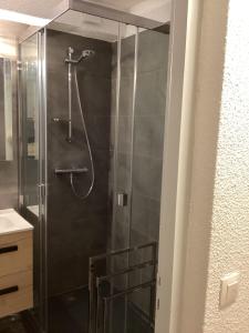 um chuveiro com uma porta de vidro na casa de banho em Duplex Aiguille du Midi furnished flat em Chamonix-Mont-Blanc