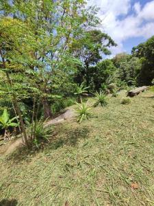 Paesaggio naturale nelle vicinanze dell'affittacamere
