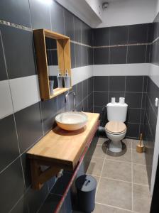 ein Bad mit einem Waschbecken und einem WC in der Unterkunft L'Eucalyptus in La Trinité