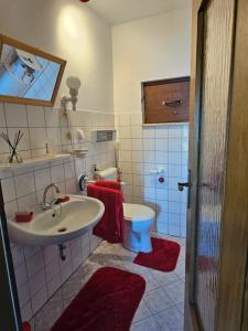 a bathroom with a sink and a toilet at ELBBLICK in Storkau