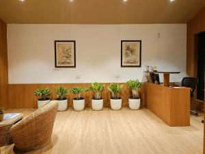 a row of potted plants in a waiting room at Pandu Pokhar Eco Adventure Resort in Rājgīr