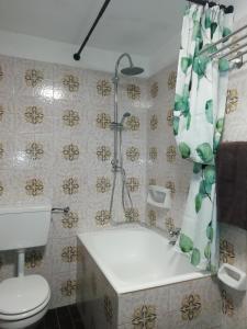 a bathroom with a tub and a toilet and a shower at Chalet Niki BELLAGIO in Bellagio