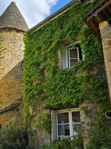 un bâtiment recouvert de lierre avec deux fenêtres dans l'établissement Maisonnette au Cœur de la cité Médiévale., à Sarlat-la-Canéda
