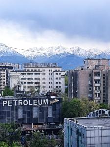 een stad met gebouwen en bergen op de achtergrond bij Xata 1+2 in Alma-Ata