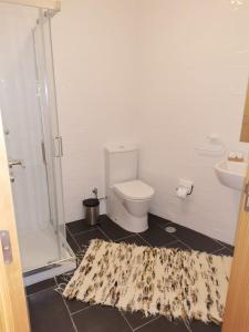 a bathroom with a toilet and a rug on the floor at Casa D'o Canto in Vinhais