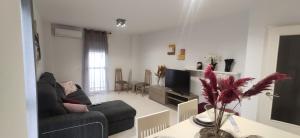 a living room with a couch and a tv at JT CHICLANA, ,Parking, Aire, Wifi, TV, Terraza in Chiclana de la Frontera