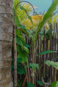 Ein Garten an der Unterkunft Manoush Beach