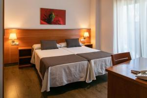 a hotel room with a bed and a desk at Aparthotel Cal Marçal in Puig-reig