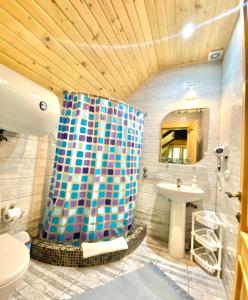 a bathroom with a shower curtain and a sink at Nad Prutom Apartment in Tatariv