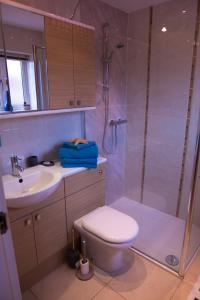 a bathroom with a shower and a toilet and a sink at No 1 Kennington Court in Llandudno