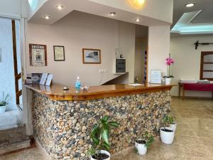 a lobby with a stone bar with potted plants at Lefka in Kolymvari