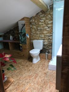 baño con aseo y pared de piedra en Chambre chez l'habitant Corail cuisine et sdb partagées, en Saint-Sever