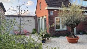 uma casa com duas árvores e uma cadeira num quintal em Aventure em Noordwijk