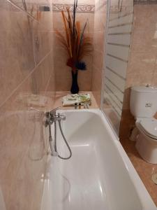 a bathroom with a bath tub and a toilet at Elani house in Elani +15 photos