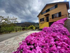 a pile of pink flowers in front of a house at La valle fiorita in Soviore