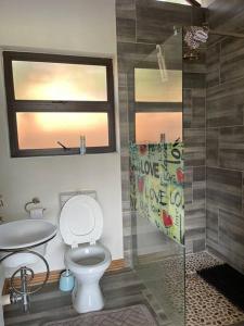 a bathroom with a toilet and a shower at Sun Room (Studio) on the edge of the Harties dam. in Hartbeespoort