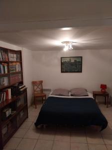 um quarto com uma cama e uma estante de livros em LA MADRAGUE- 2P avec piscine privative em Saint-Cyr-sur-Mer