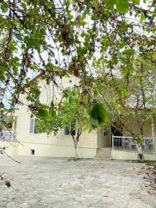 a tree in front of a white house at Sultan Makan in Çuxuryurd