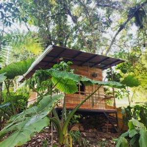 a tree house in the middle of a forest at EcoaldeaHotel Aguaviva2 in Aranzazu