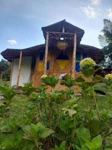 a house in the middle of a field of bushes at EcoaldeaHotel Aguaviva2 in Aranzazu