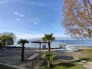 a view of a beach with a bench and palm trees at Timeless - die Ferienwohnung in Wasserburg in Bettnau