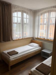杜什尼基茲德魯伊的住宿－Śnieżka，一间卧室设有两张床和两个窗户。