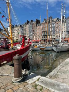 Naturlandskabet i nærheden af lejligheden