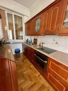 a kitchen with wooden cabinets and a sink and a stove at Vintage-style 2 bedroom apartment at Katechaki in Athens