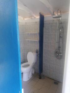 a bathroom with a toilet and a shower stall at Emplacement tente camping car in Saint-Aubin-de-Nabirat