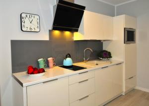 Dapur atau dapur kecil di Apartament uDany Darłówko