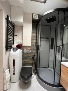 La salle de bains est pourvue d'une douche, de toilettes et d'un lavabo. dans l'établissement Brylant, à Zamość