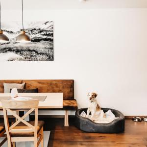 a dog sitting in a dog bed in a room at Apart Jasmin in Flachau