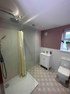 a bathroom with a shower and a toilet and a sink at Impressive 3 bed cottage by the river in Stanhope in Stanhope