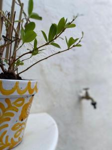 uma planta num vaso sentado numa mesa em Palacete Encanto Maior em Campo Maior