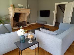 a living room with two couches and a fireplace at B&B Huize Placida in Boxmeer