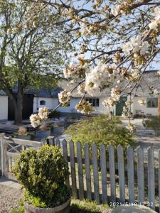 uma cerca branca com árvores floridas e uma casa branca em Öja em Ystad