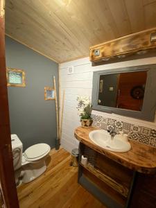 拉科納的住宿－"Le Maloya" Chalets , Appartements & chambre Balnéo，一间带水槽、卫生间和镜子的浴室