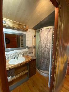 拉科納的住宿－"Le Maloya" Chalets , Appartements & chambre Balnéo，一间带水槽和淋浴的浴室
