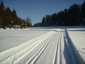 a snow covered field with tracks in the snow at Bayern Ferienland Sonnenwald in Schöfweg