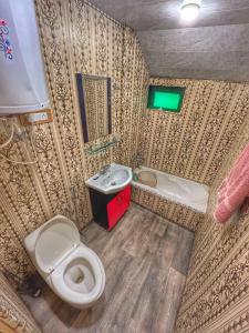 a small bathroom with a toilet and a sink at Heritage Shreen Houseboat in Srinagar