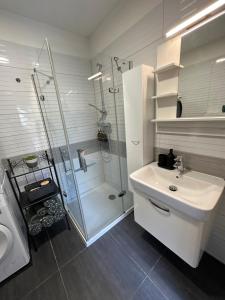 a bathroom with a shower and a sink and a toilet at Apartmán MANKÝ in Pardubice