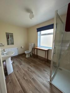 a bathroom with a toilet and a sink and a shower at Mary's of Mulranny in Mulranny