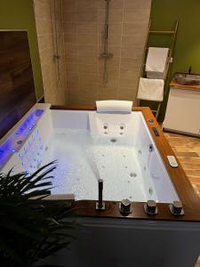 a jacuzzi bathtub in a bathroom with at Jungle room in Sotteville-lès-Rouen