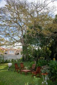 a yard with chairs and a table and a tree at La Lupa Nera in Knysna